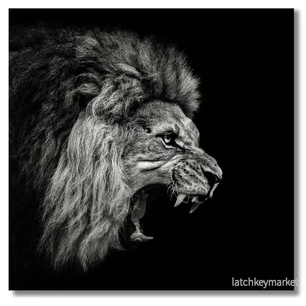 Tavla Aluminium art Lion Tavla Aluminium art Lion
