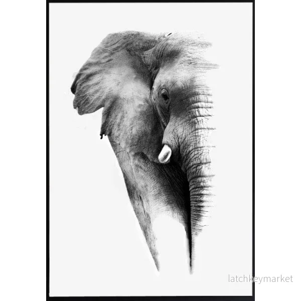 Poster Elefant Poster Elefant