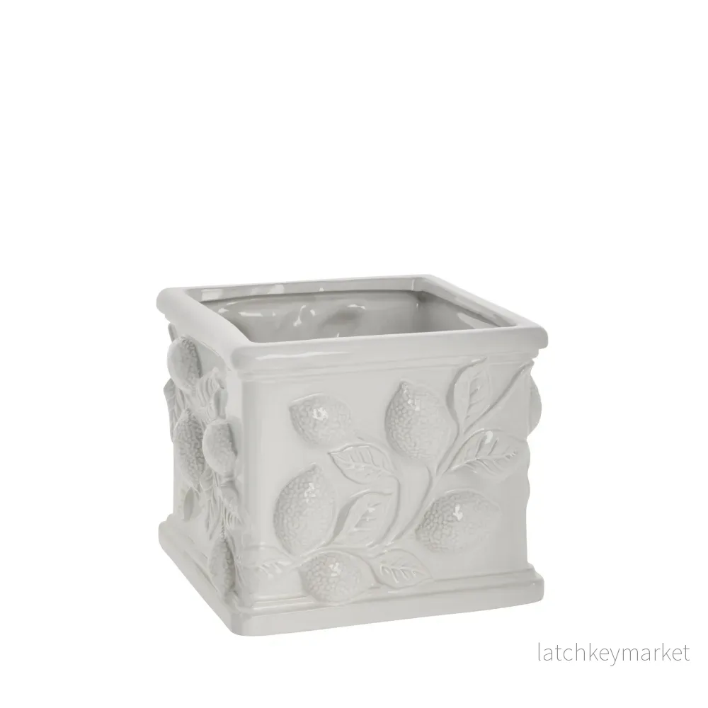 Limone blomkruka D20 H15,8 Vit