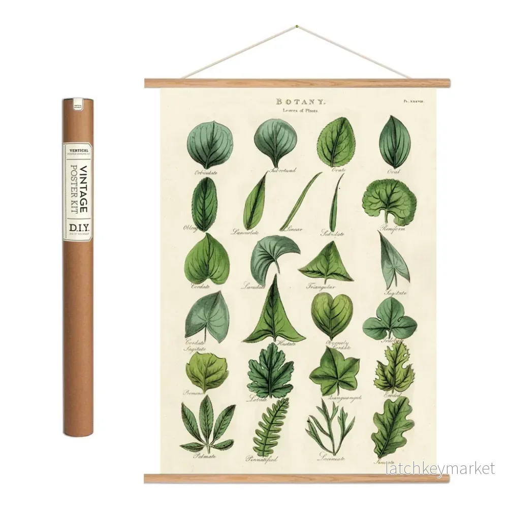 Vintage poster ’Botany Leaves’