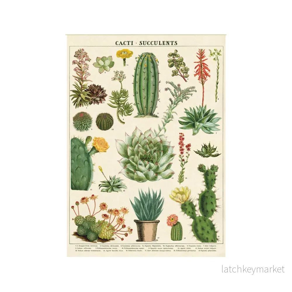 Vintage poster ’Succulent’