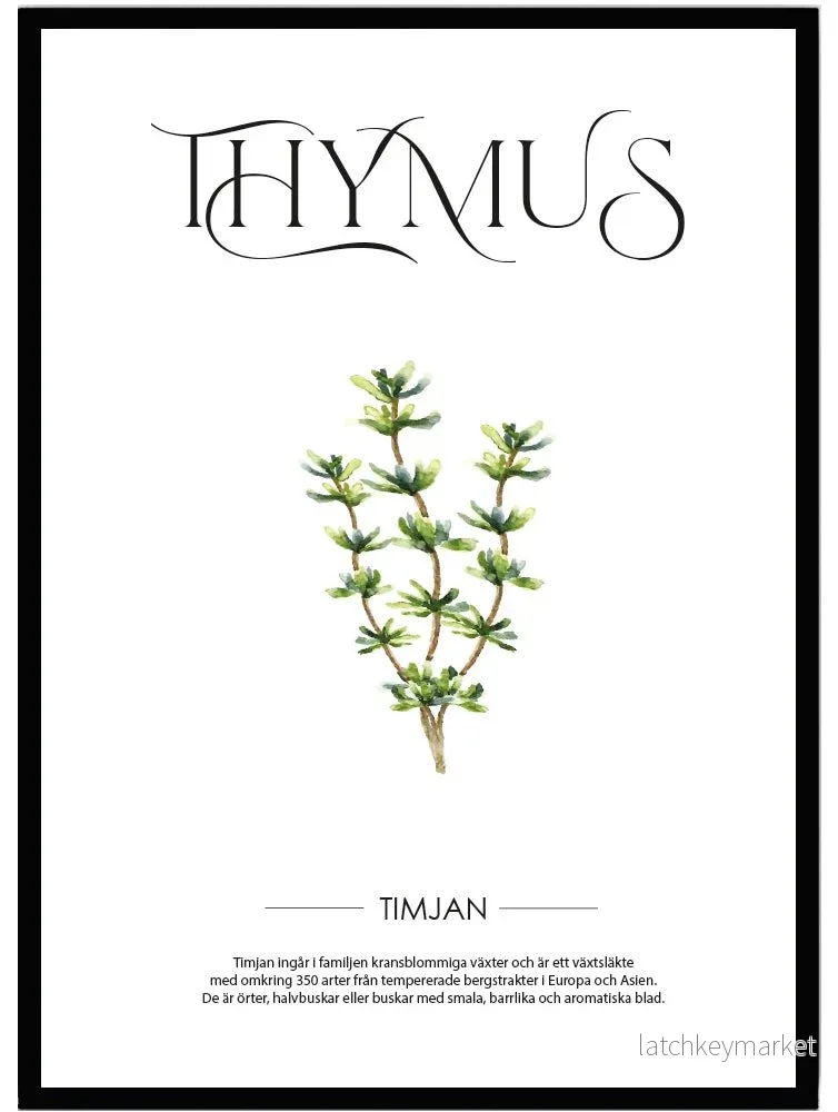 Poster Timjan