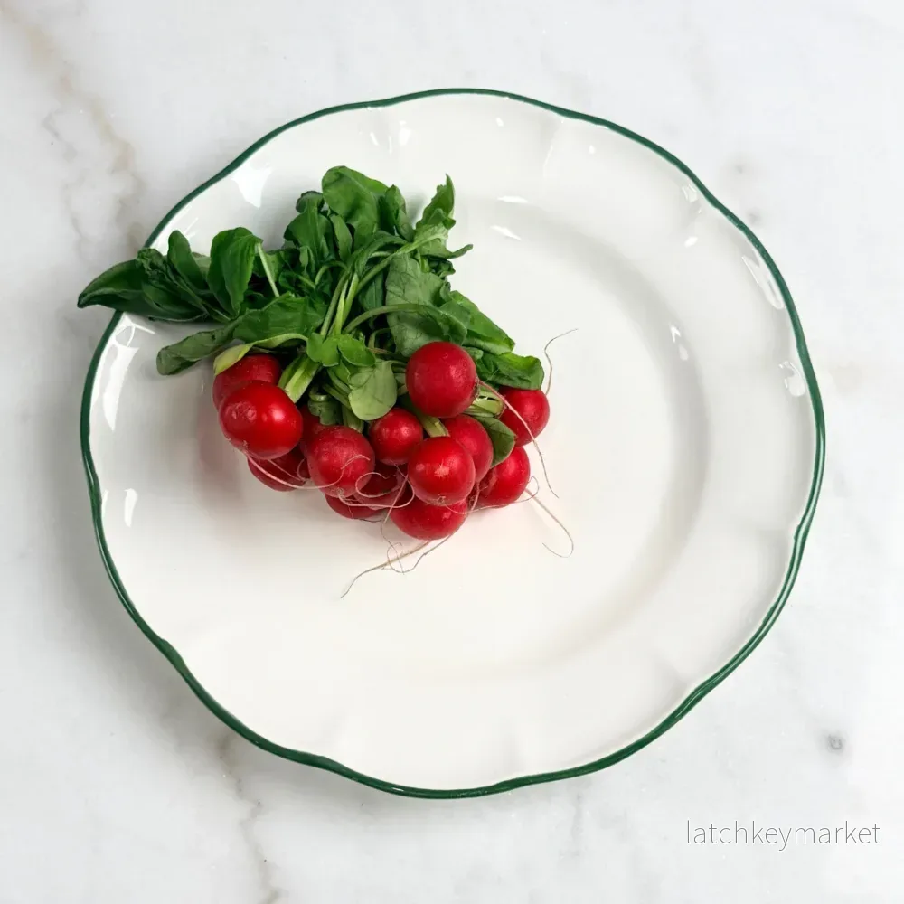 Dinner Plate Dark Green Line