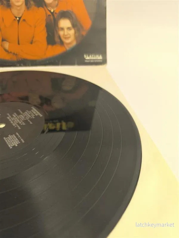 Thorleifs – Kommer hem till dig (LP) - Outlet - Bild 2