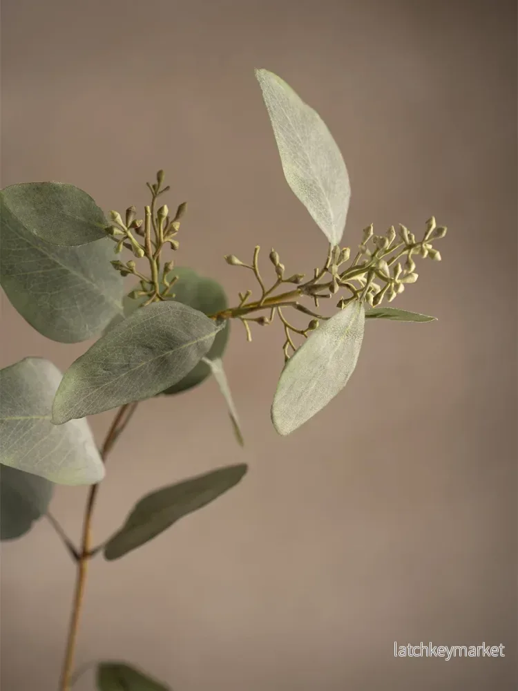Eucalyptus, 87 cm - Bild 2
