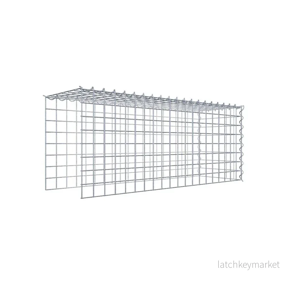Påväxt gabion typ 4 100 cm x 40 cm x 30 cm (L x H x D), maskstorlek 5 cm x 5 cm, spiral