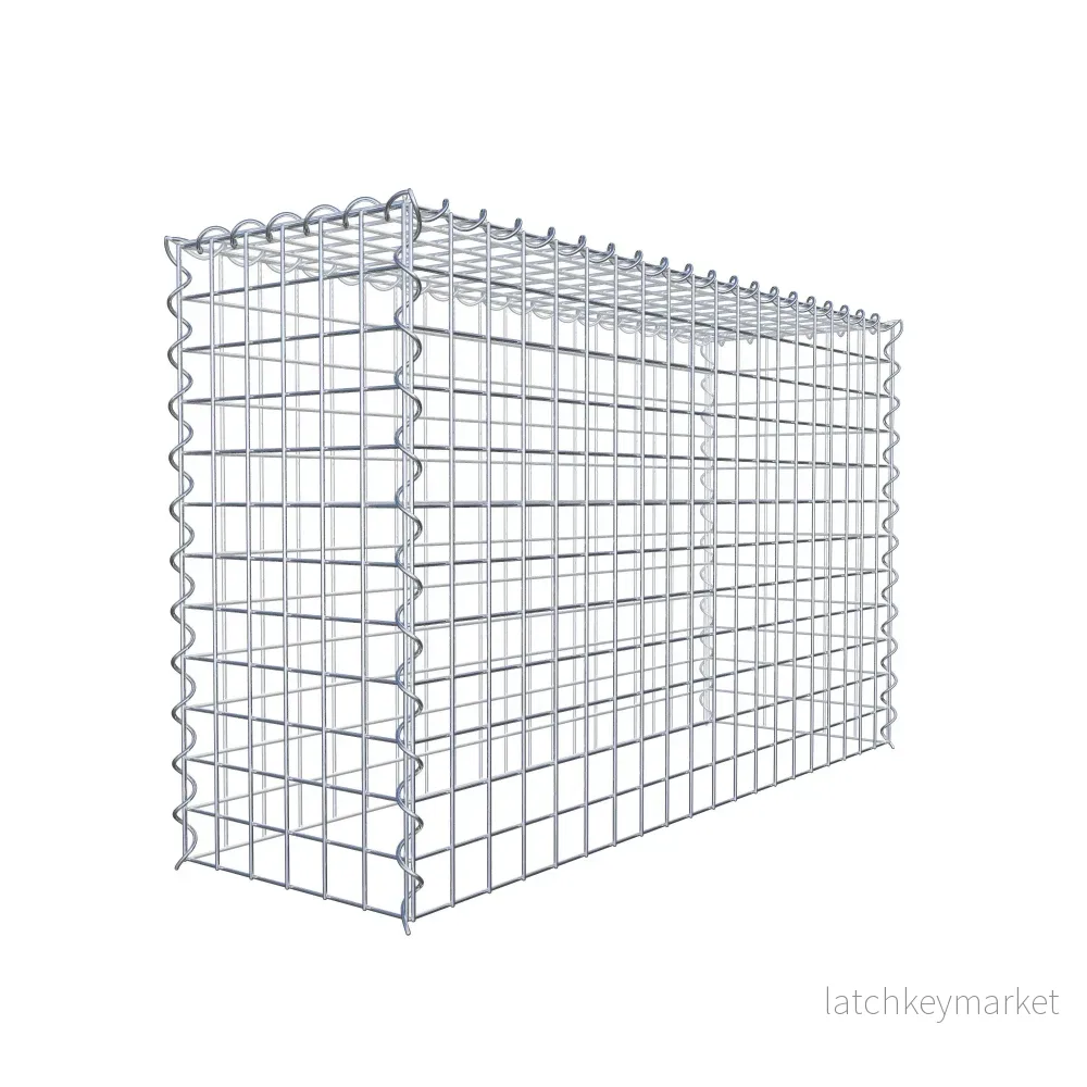 Påväxt gabion typ 3 100 cm x 60 cm x 30 cm (L x H x D), maskstorlek 5 cm x 5 cm, spiral - Bild 3