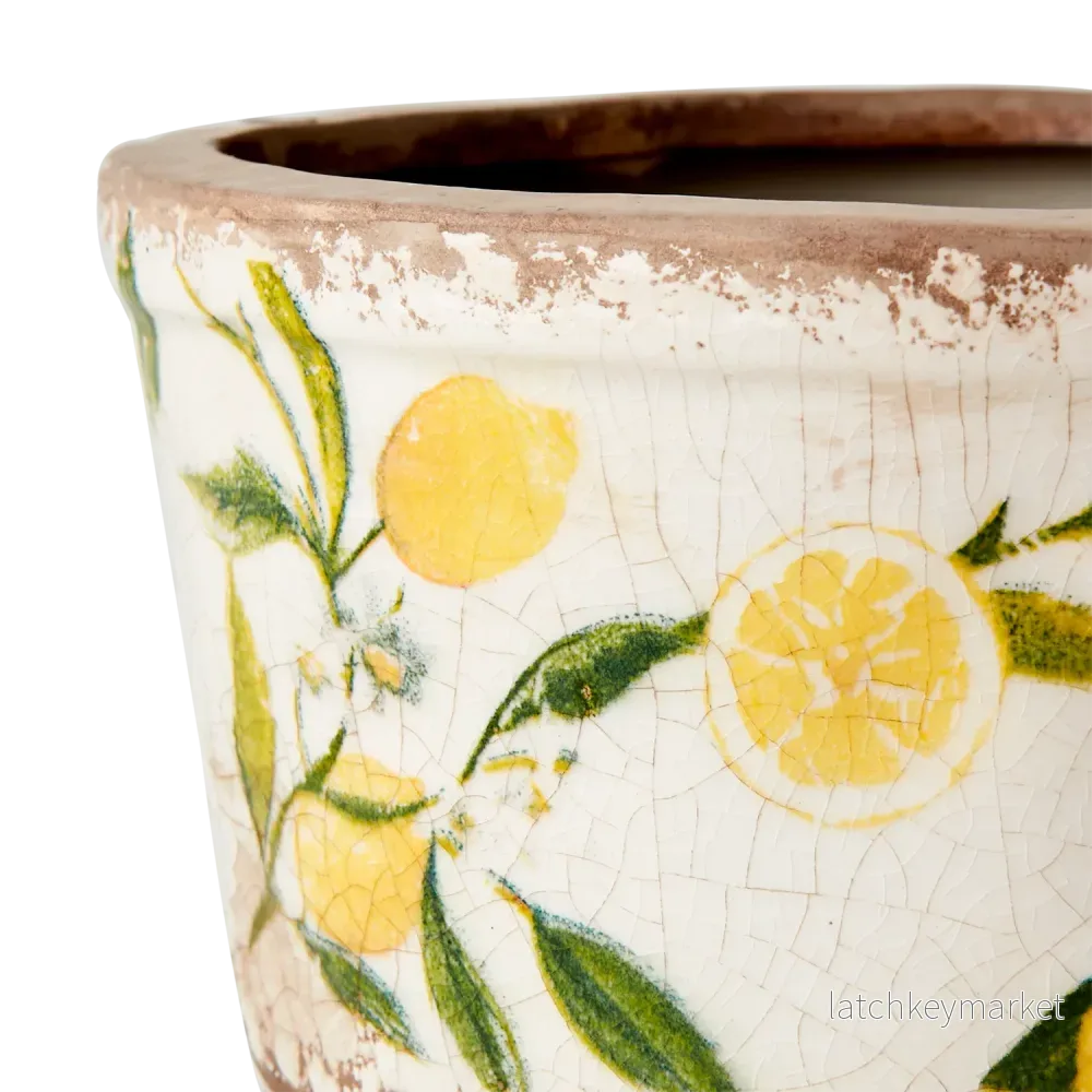 Kruka Lemona Rak - Bild 3