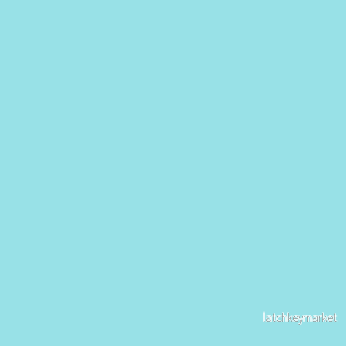 NCS S 0530-B30G