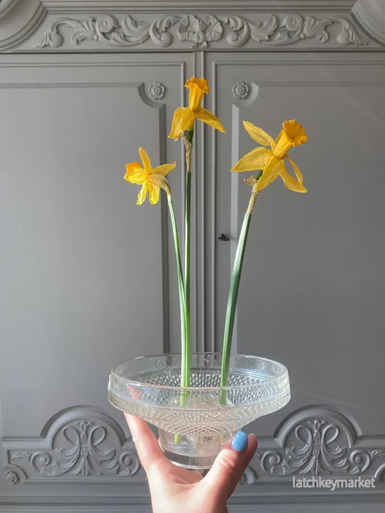 Blomsterfakir i glas med tillhörande skål