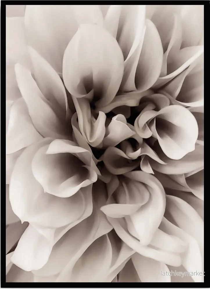 Poster Dahlia beige Poster Dahlia beige