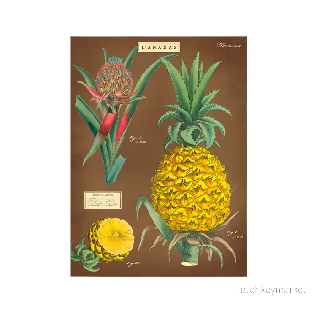 Vintage poster ’Pineapple’ Vintage poster ’Pineapple’