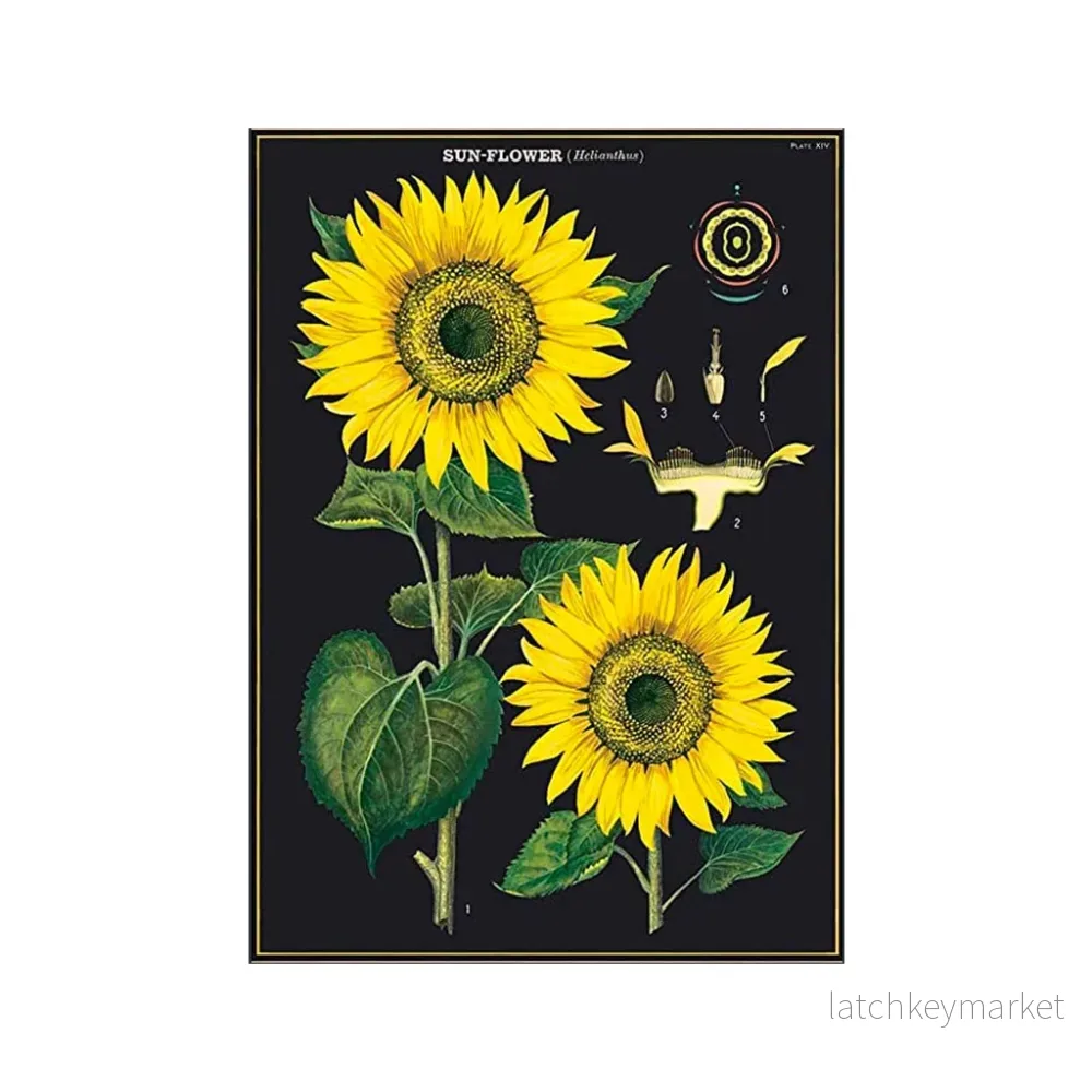 Vintage poster ’Sunflower’