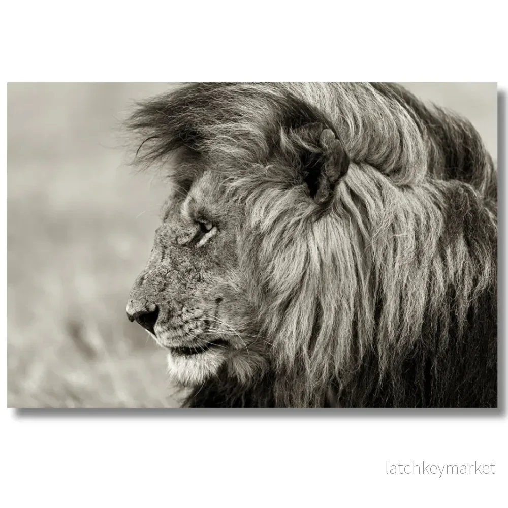 Tavla Aluminium art Lion Tavla Aluminium art Lion