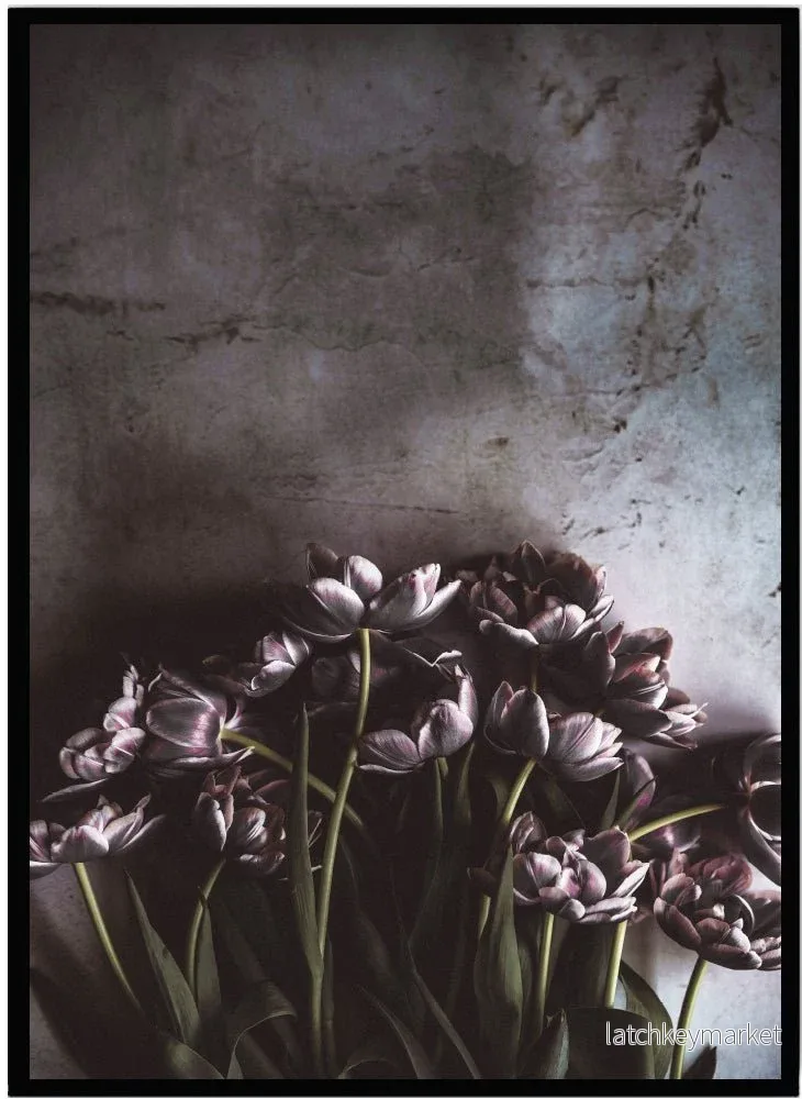 Poster Tulips Poster Tulips