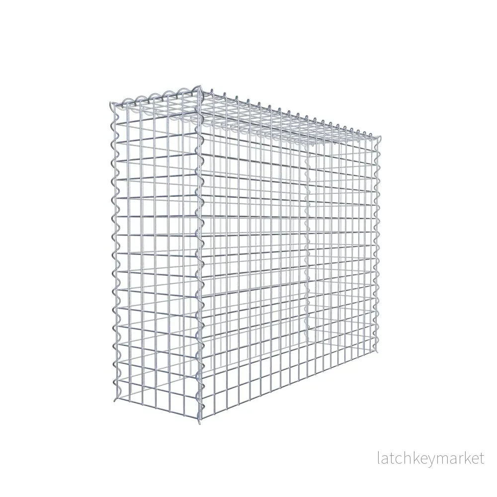 Påväxt gabion typ 3 100 cm x 80 cm x 30 cm (L x H x D), maskstorlek 5 cm x 5 cm, spiral - Bild 3