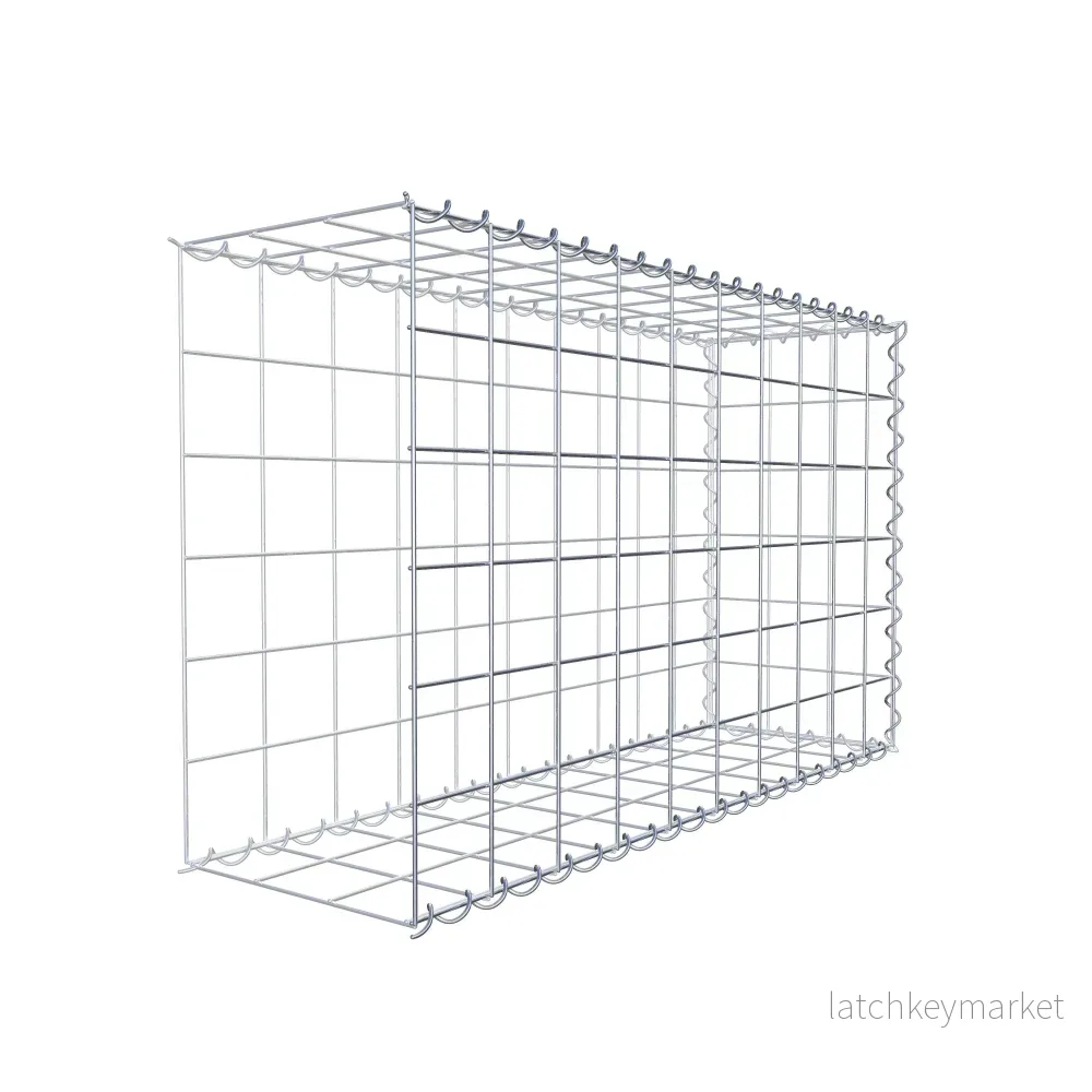 Påväxt gabion typ 2 100 cm x 60 cm x 30 cm (L x H x D), maskstorlek 10 cm x 10 cm, spiral - Bild 3