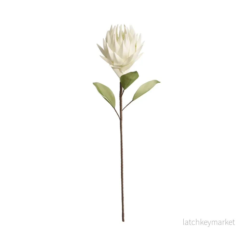 Happia blomma 77x16x16 cm. Happia blomma 77x16x16 cm.