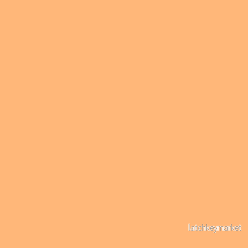 NCS S 0540-Y40R NCS S 0540-Y40R