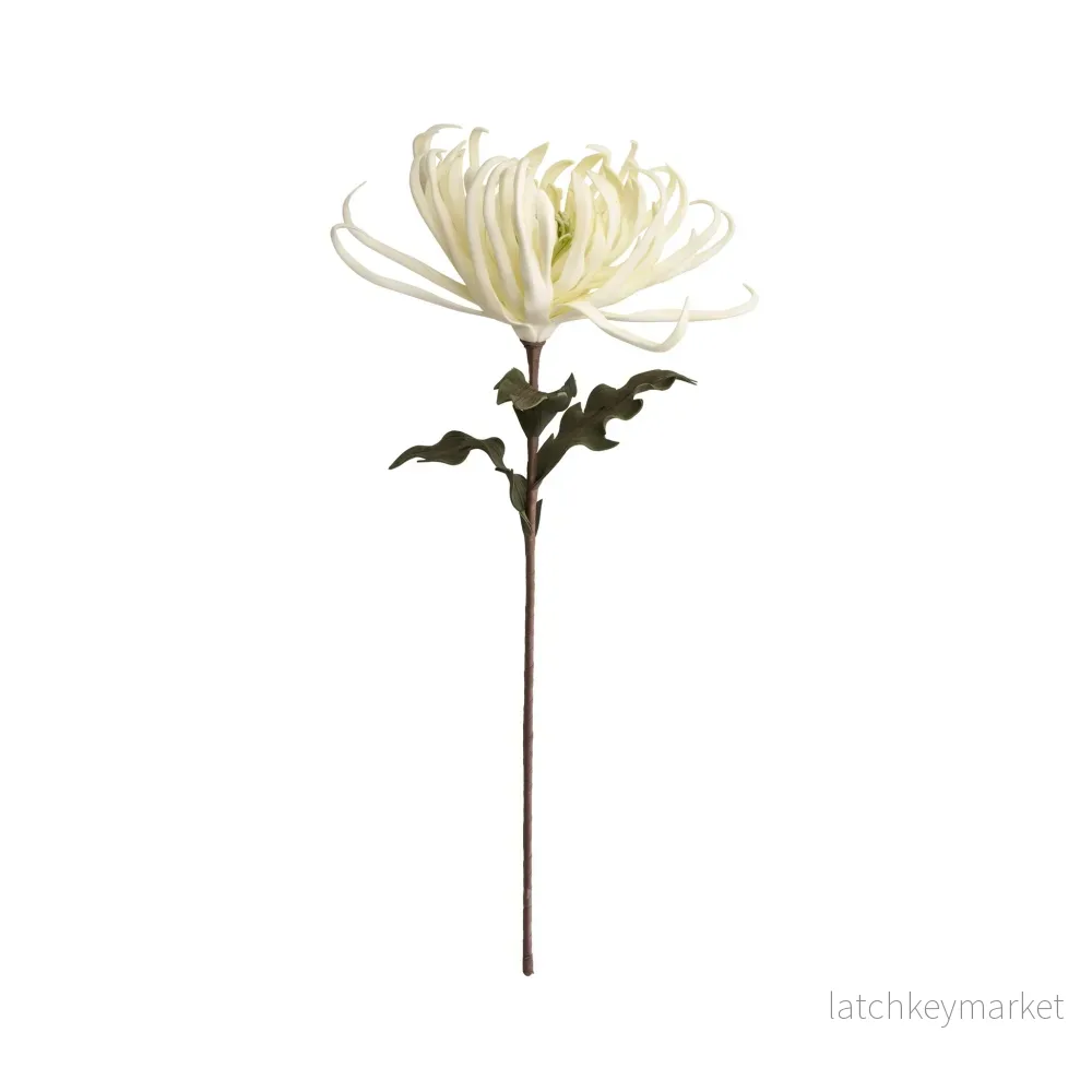 Happia blomma 68x32x32 cm.