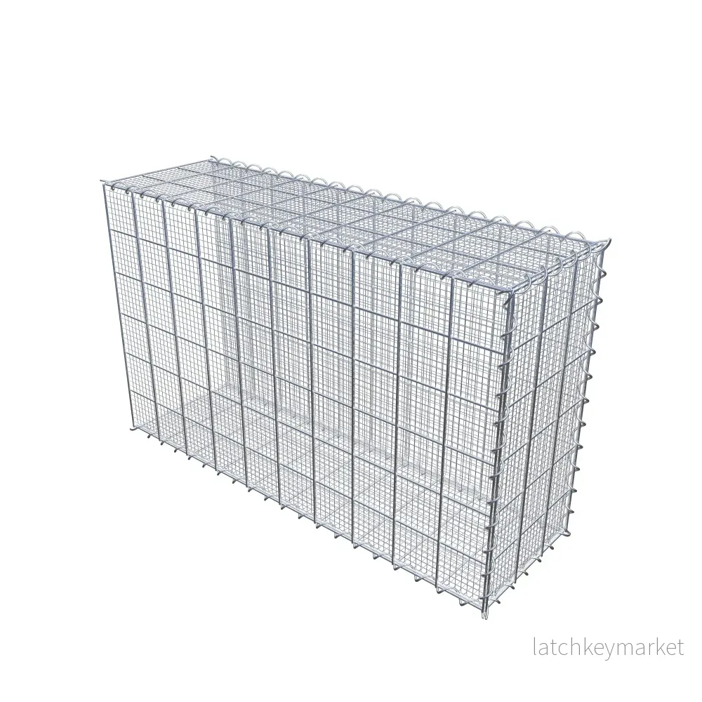Sandodlingsgabion typ 2 100 cm x 60 cm x 30 cm (L x H x D), maskstorlek 10 cm x 10 cm, spiral - Bild 2