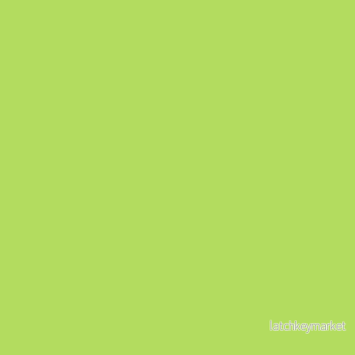NCS S 0560-G40Y NCS S 0560-G40Y