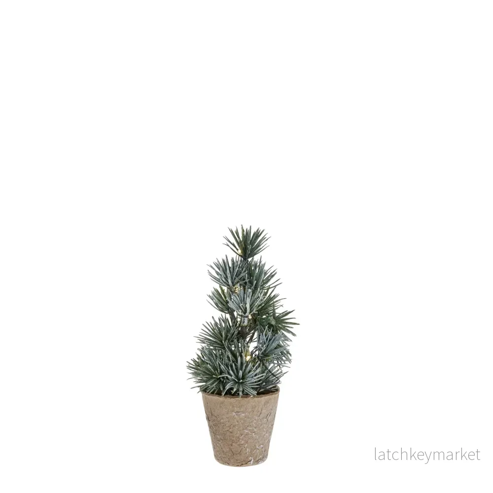 Cedille träd H17 cm. grön Cedille träd H17 cm. grön