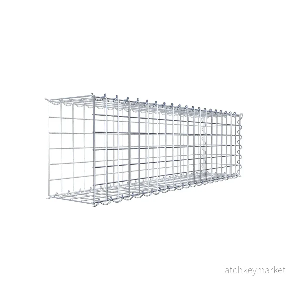 Påväxt gabion typ 2 100 cm x 30 cm x 20 cm (L x H x D), maskstorlek 5 cm x 5 cm, spiral - Bild 3