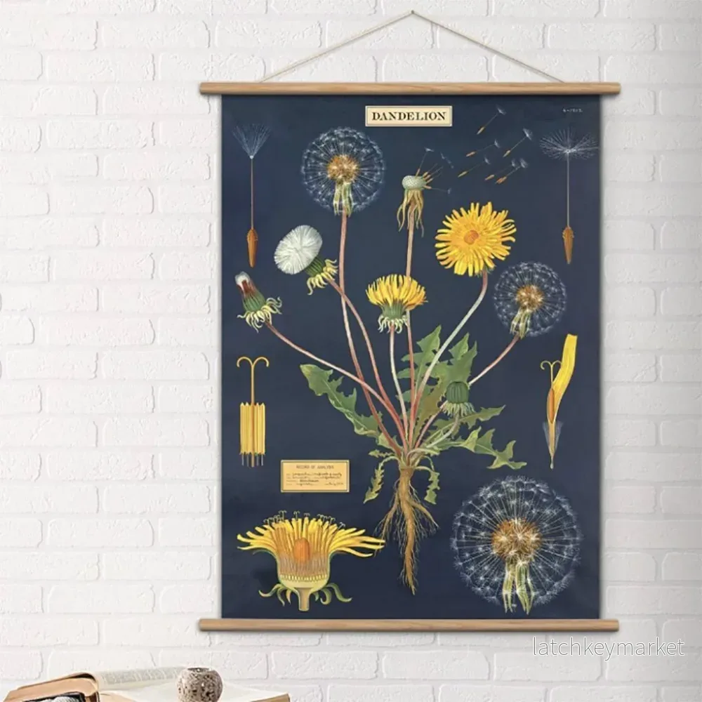 Vintage poster maskros 'Dandelion' - Bild 2