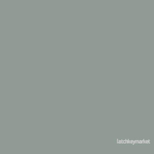 NCS S 4005-G NCS S 4005-G