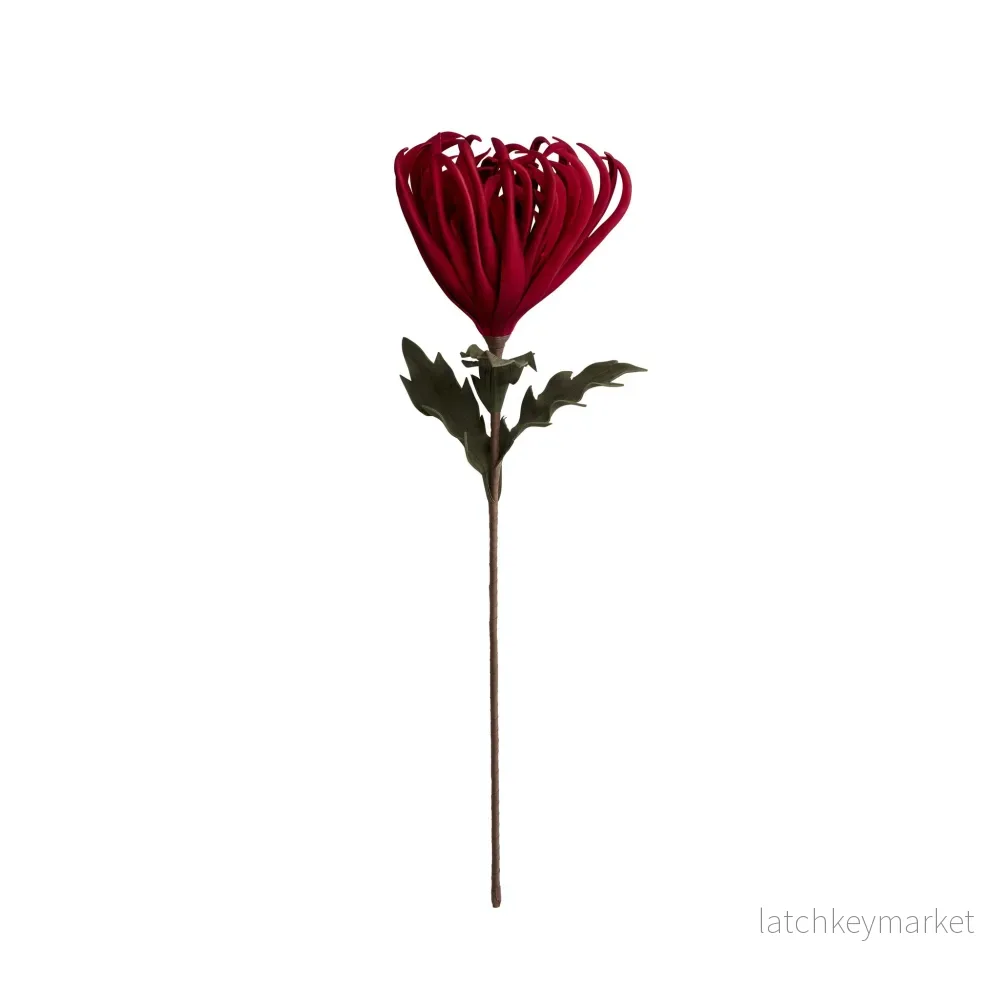 Happia blomma 68x32x32 cm. Happia blomma 68x32x32 cm.