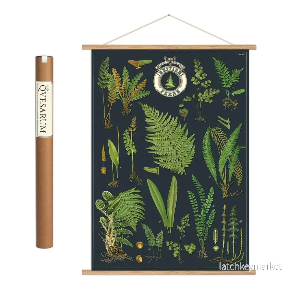 Vintage poster kit 'British Ferns'