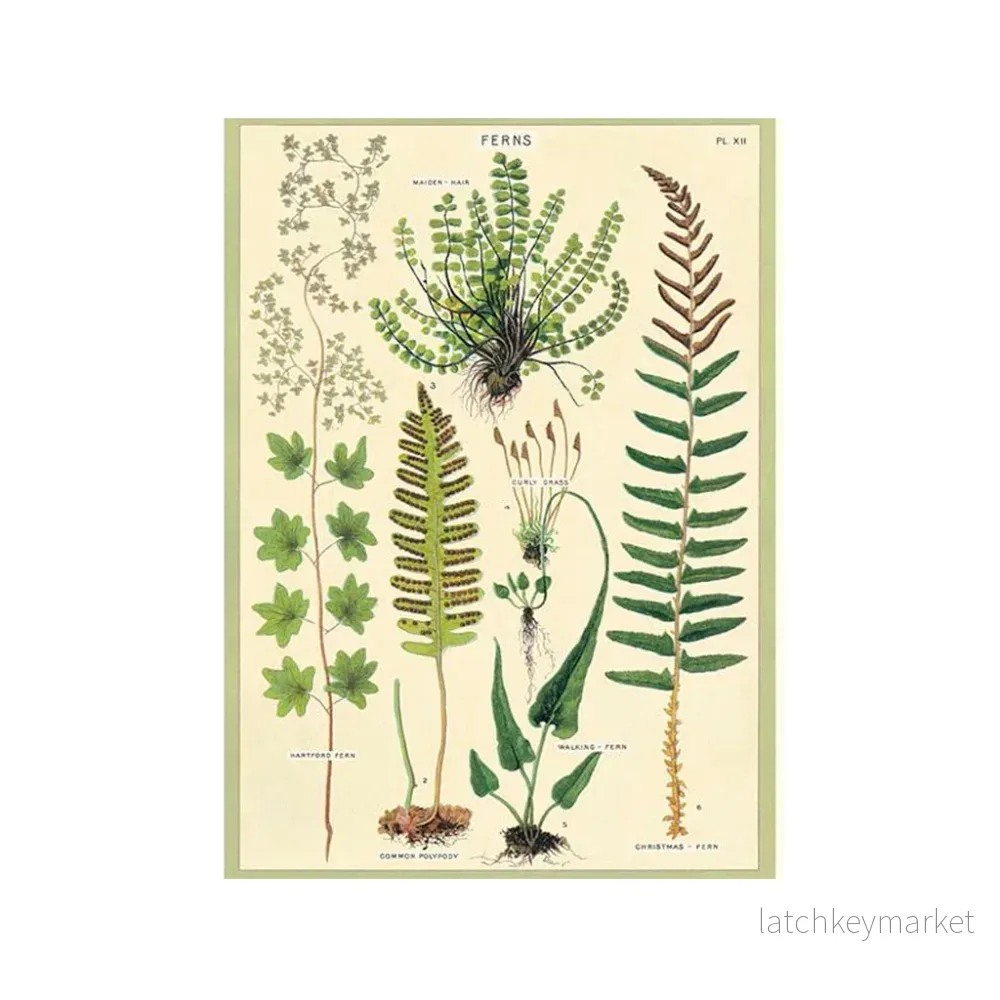 Vintage poster ’Fernleaf’