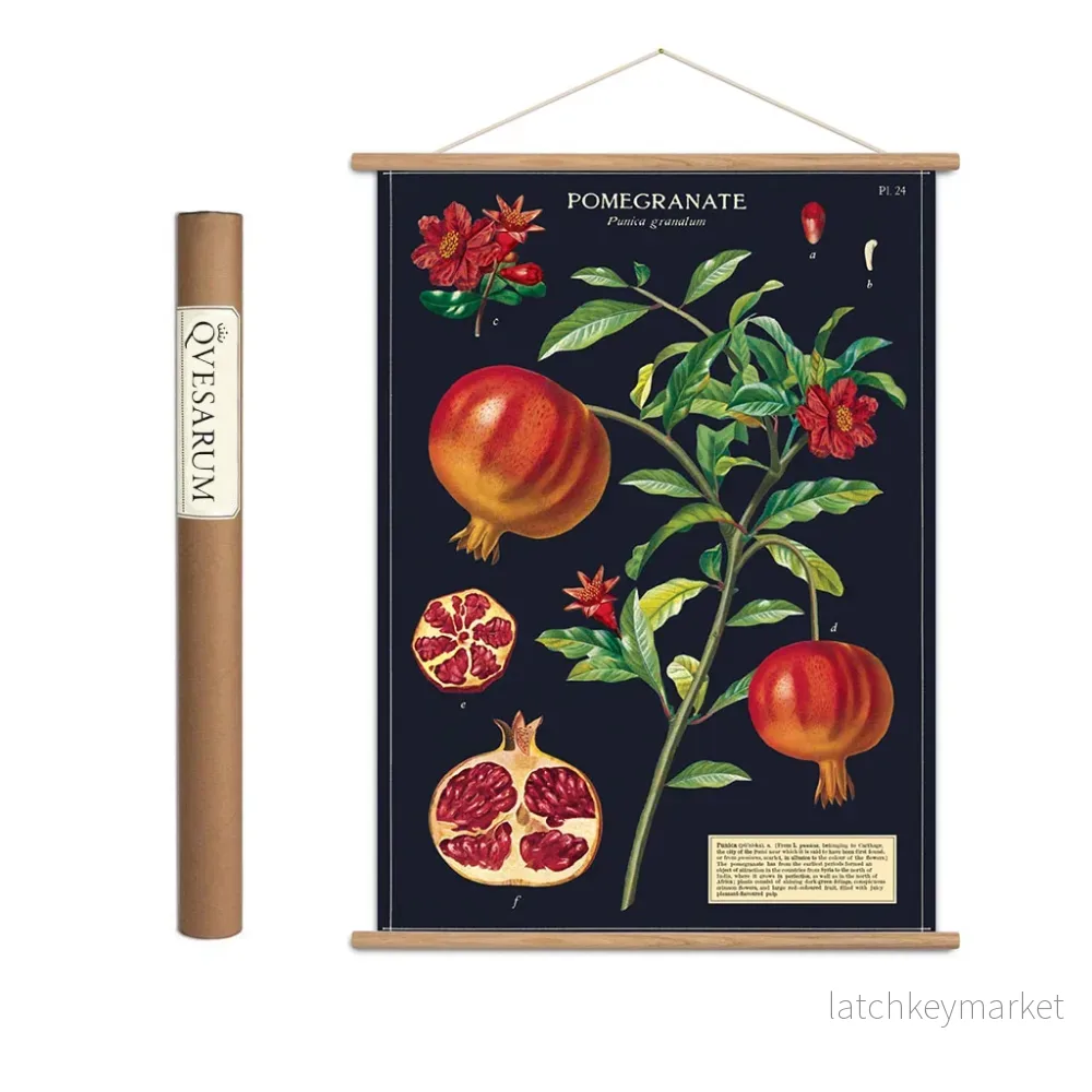 Vintage poster kit ’Pomegranate’