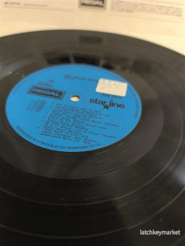 The Beach Boys – Bug‑In (Vinyl) - Bild 3