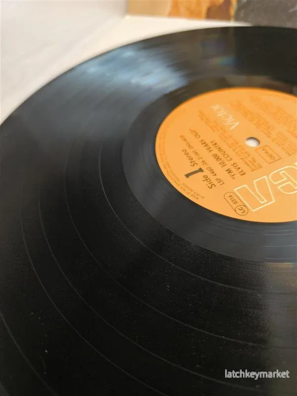 Elvis Presley – Elvis Country (I’m 10,000 Years Old) - Bild 3