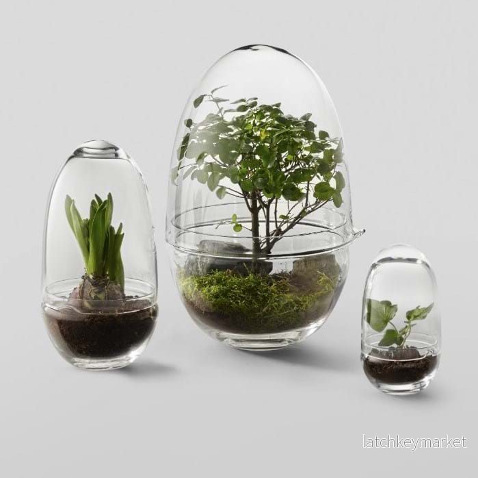 Grow Greenhouse - Bild 2