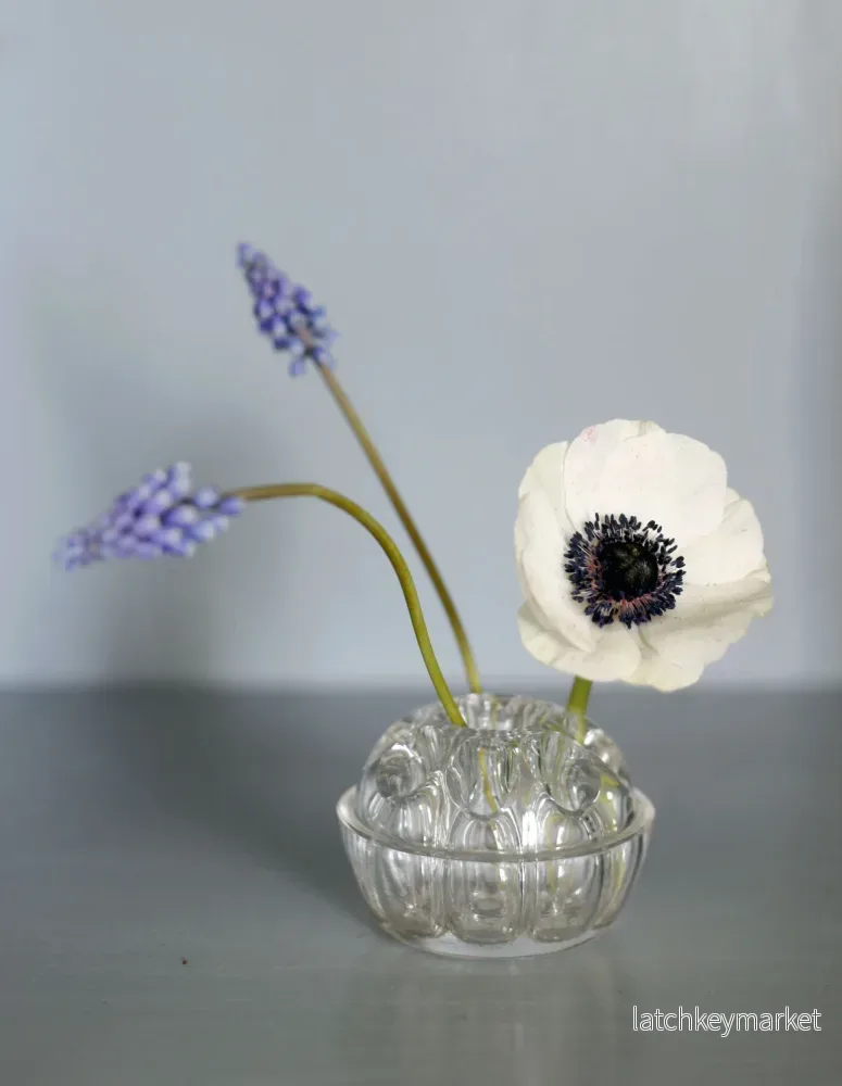 Blomsterfakir i glas stängd botten