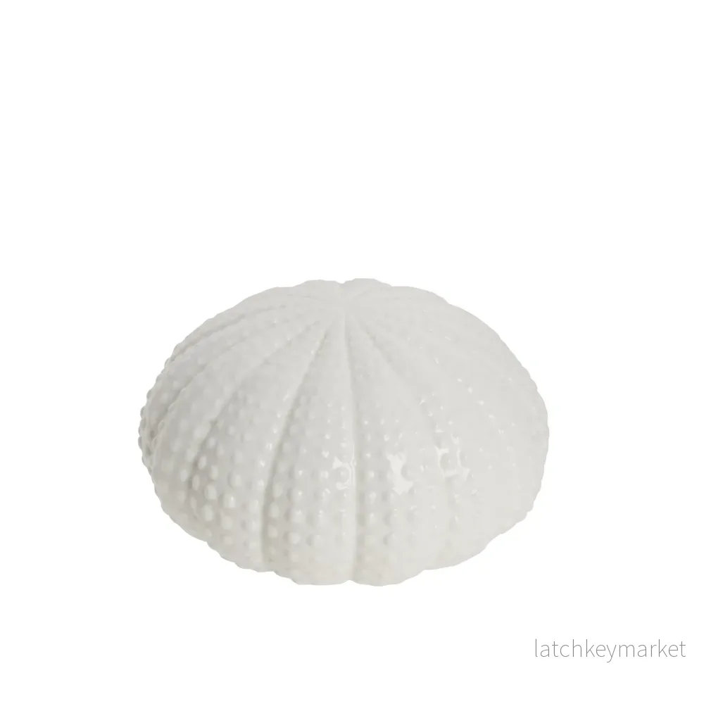 Shellille dekoration sjöborre D15.5 H8 Vit Shellille dekoration sjöborre D15.5 H8 Vit
