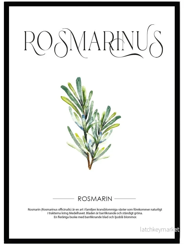 Poster Rosmarin Poster Rosmarin