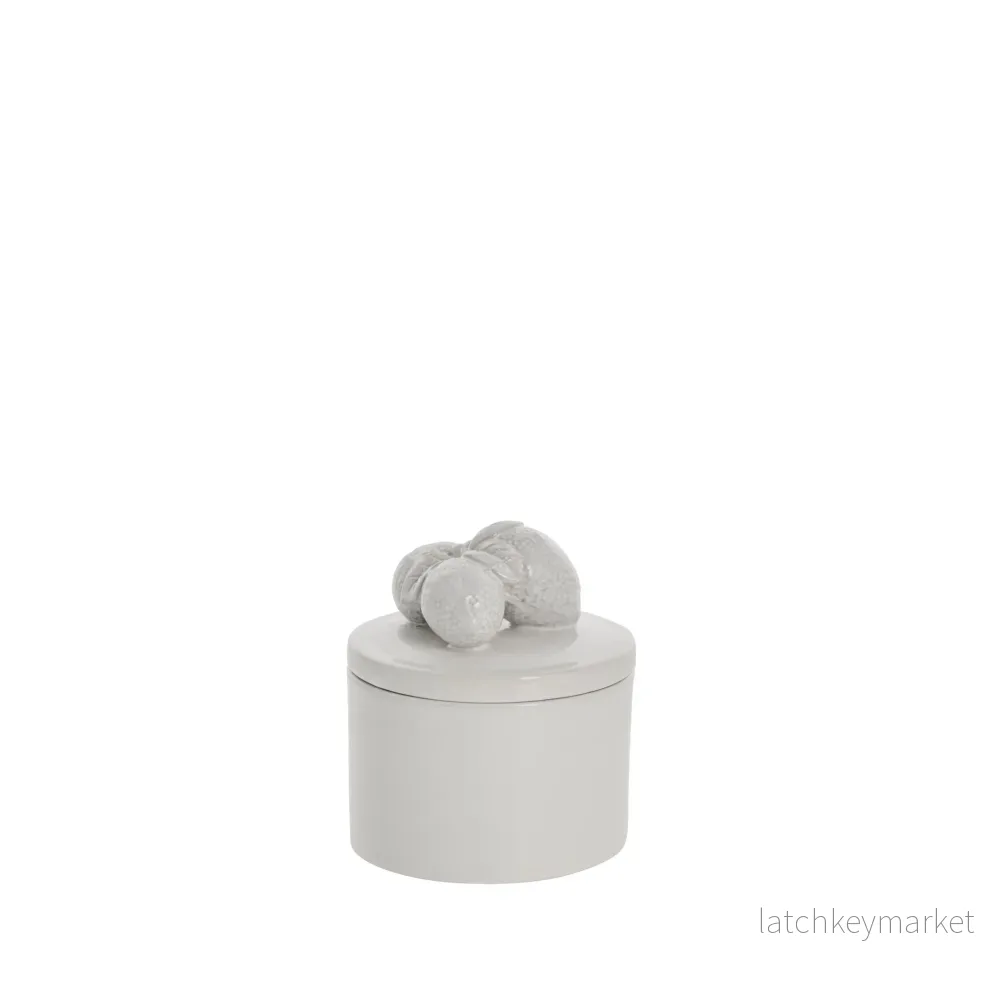 Limoneburk D11,5 H13,5 Vit Limoneburk D11,5 H13,5 Vit