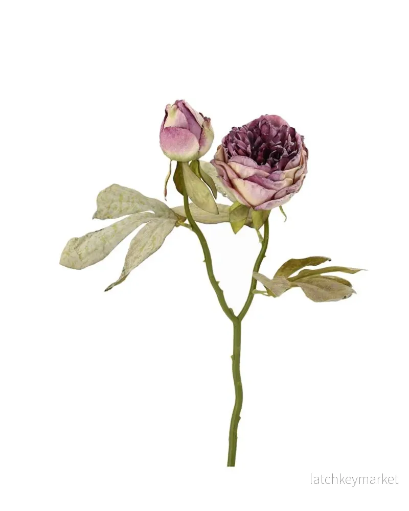 Konstgjord växt Pion Dubbel Lila 3-pack 50 cm Konstgjord växt Pion Dubbel Lila 3-pack 50 cm