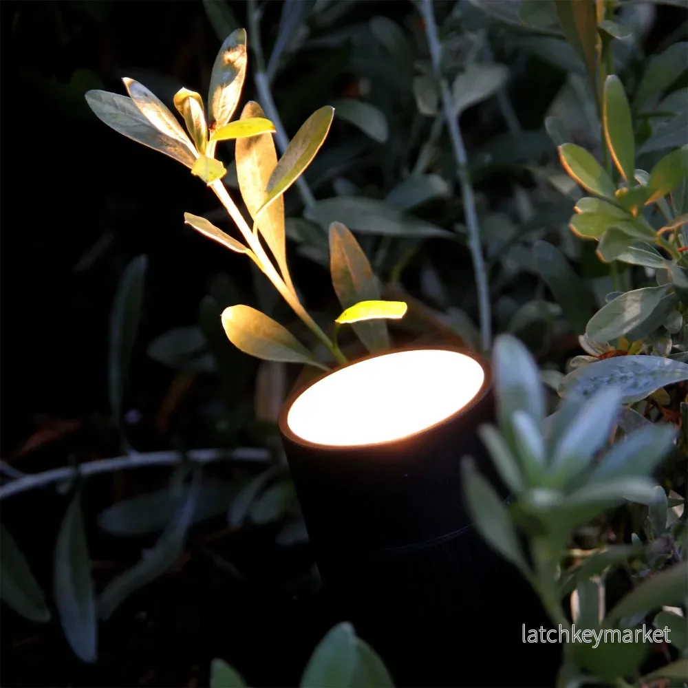 Spotlight Medusa LightsOn Spotlight Medusa LightsOn