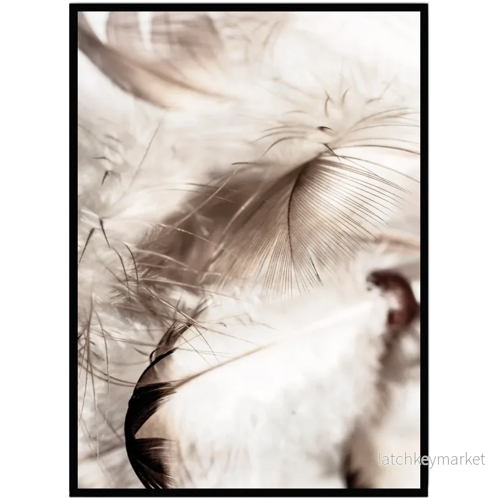 Poster Feathers Poster Feathers