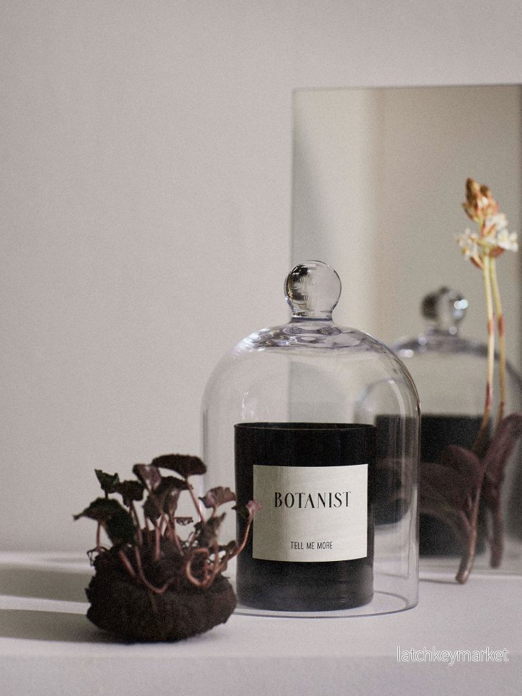 Doftljus, Botanist - Bild 3