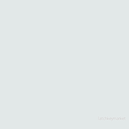 NCS S 1002-B50G NCS S 1002-B50G