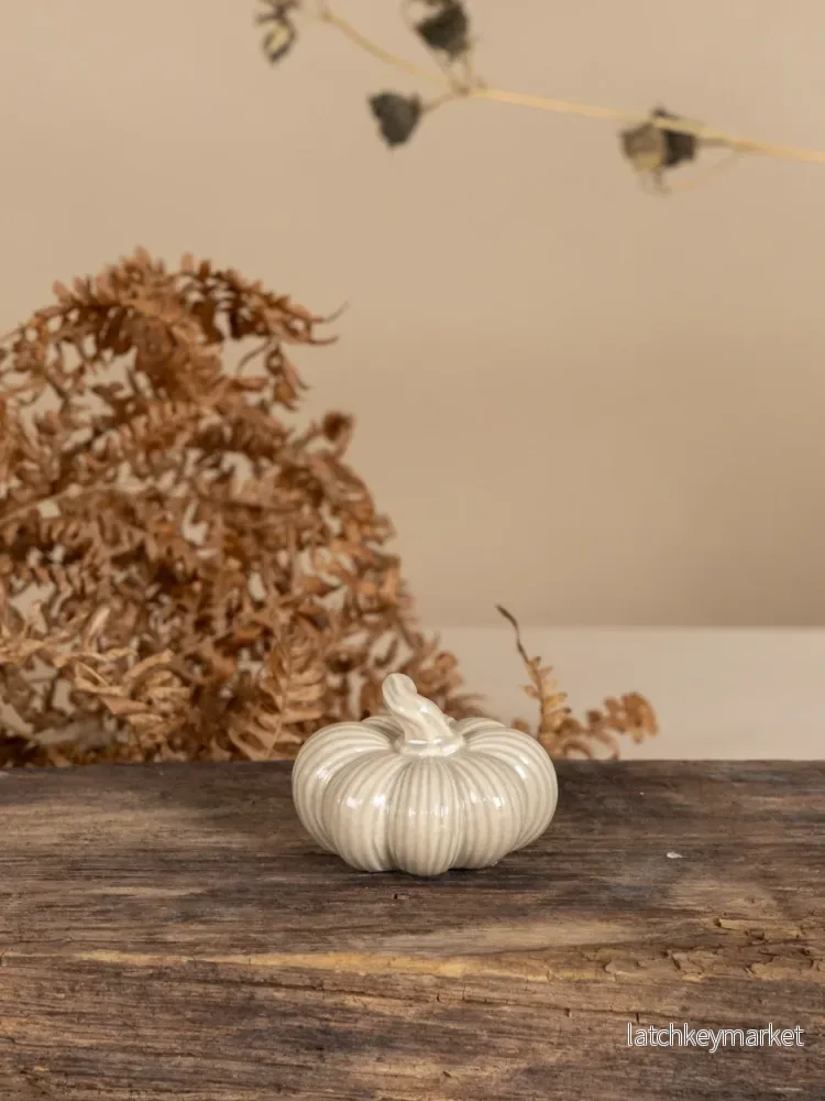 Ekåsen Pumpa, Beige