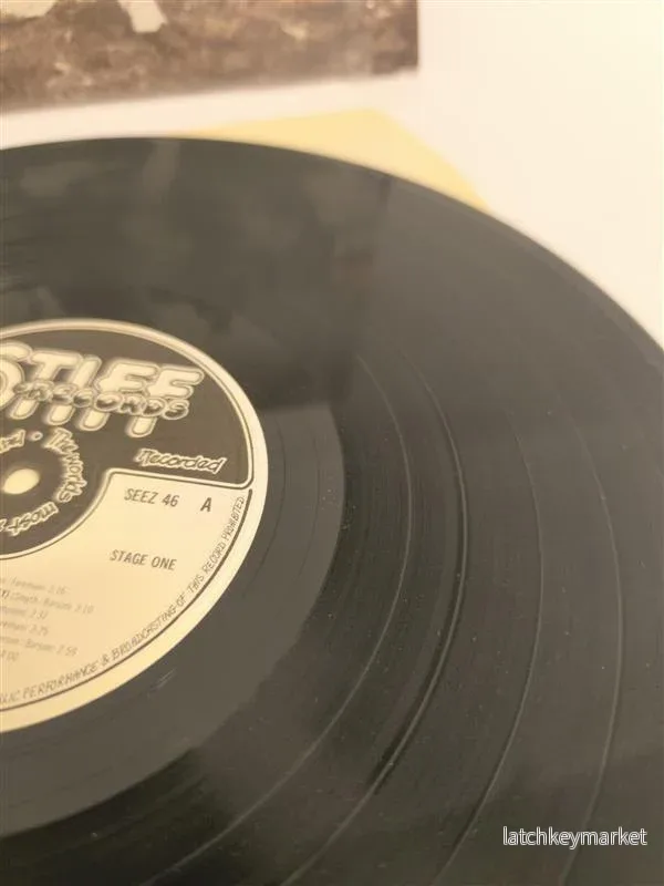 Madness – The Rise & Fall (LP) – 80-tals i sitt bästa - Bild 3