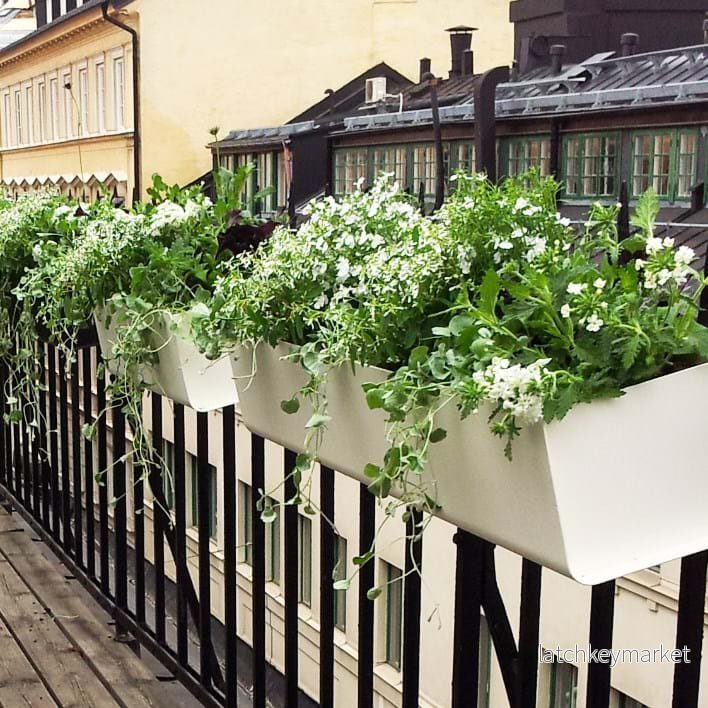 Jorda Balkonglåda - Bild 2