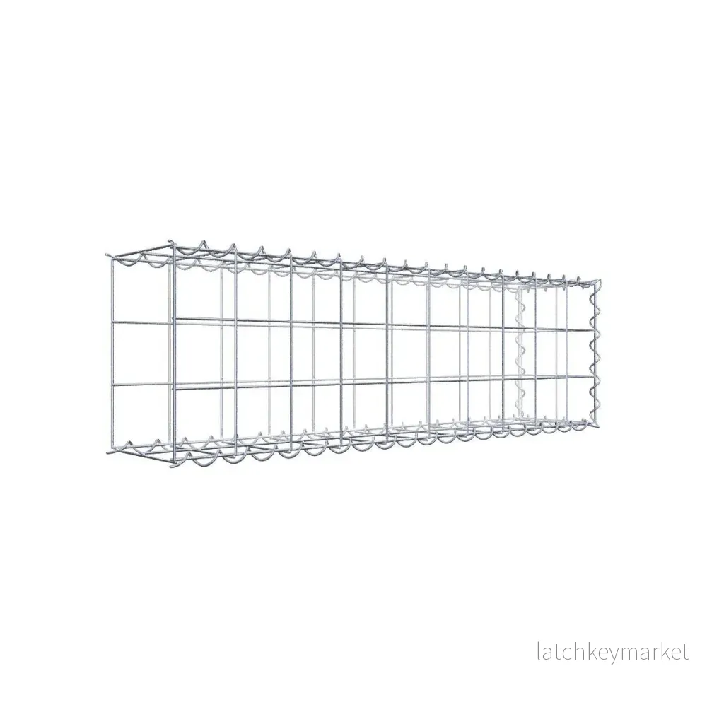 Påväxt gabion typ 2 100 cm x 30 cm x 20 cm (L x H x D), maskstorlek 10 cm x 10 cm, spiral